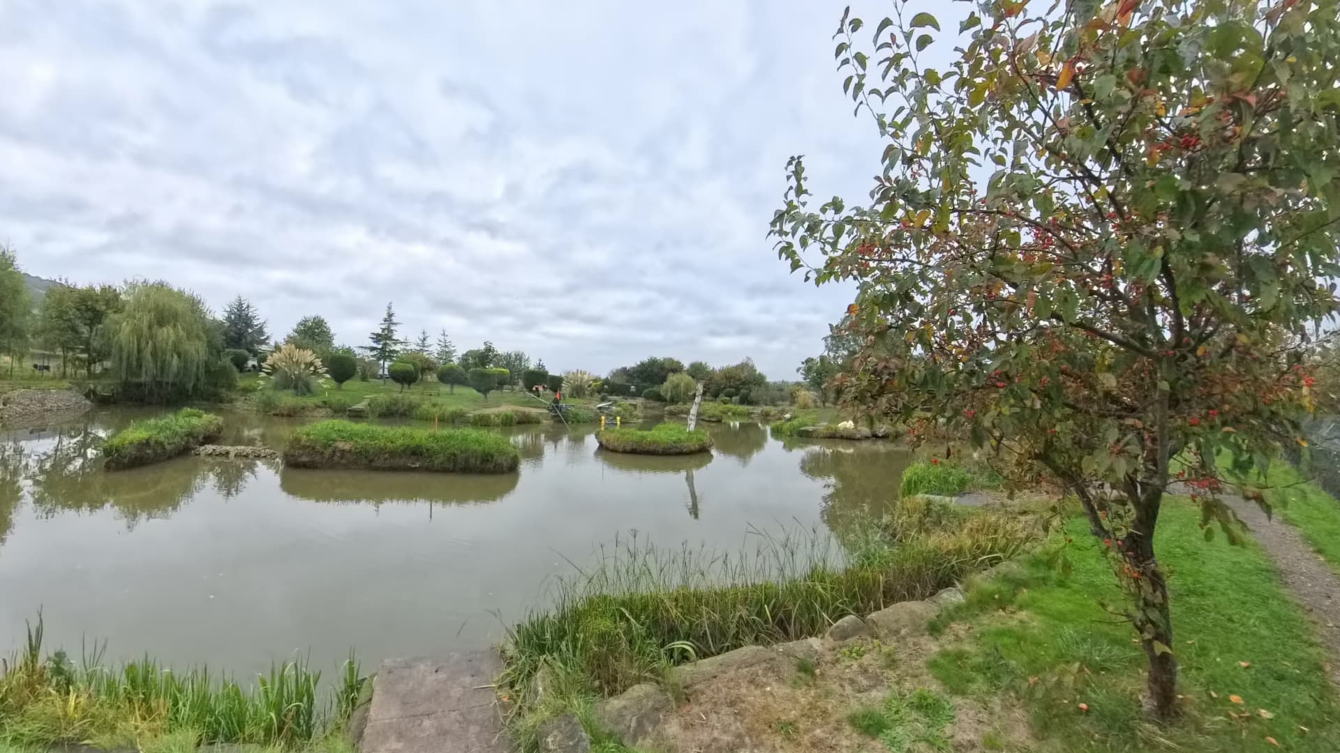 Pond, trees and path around the landscaped bank