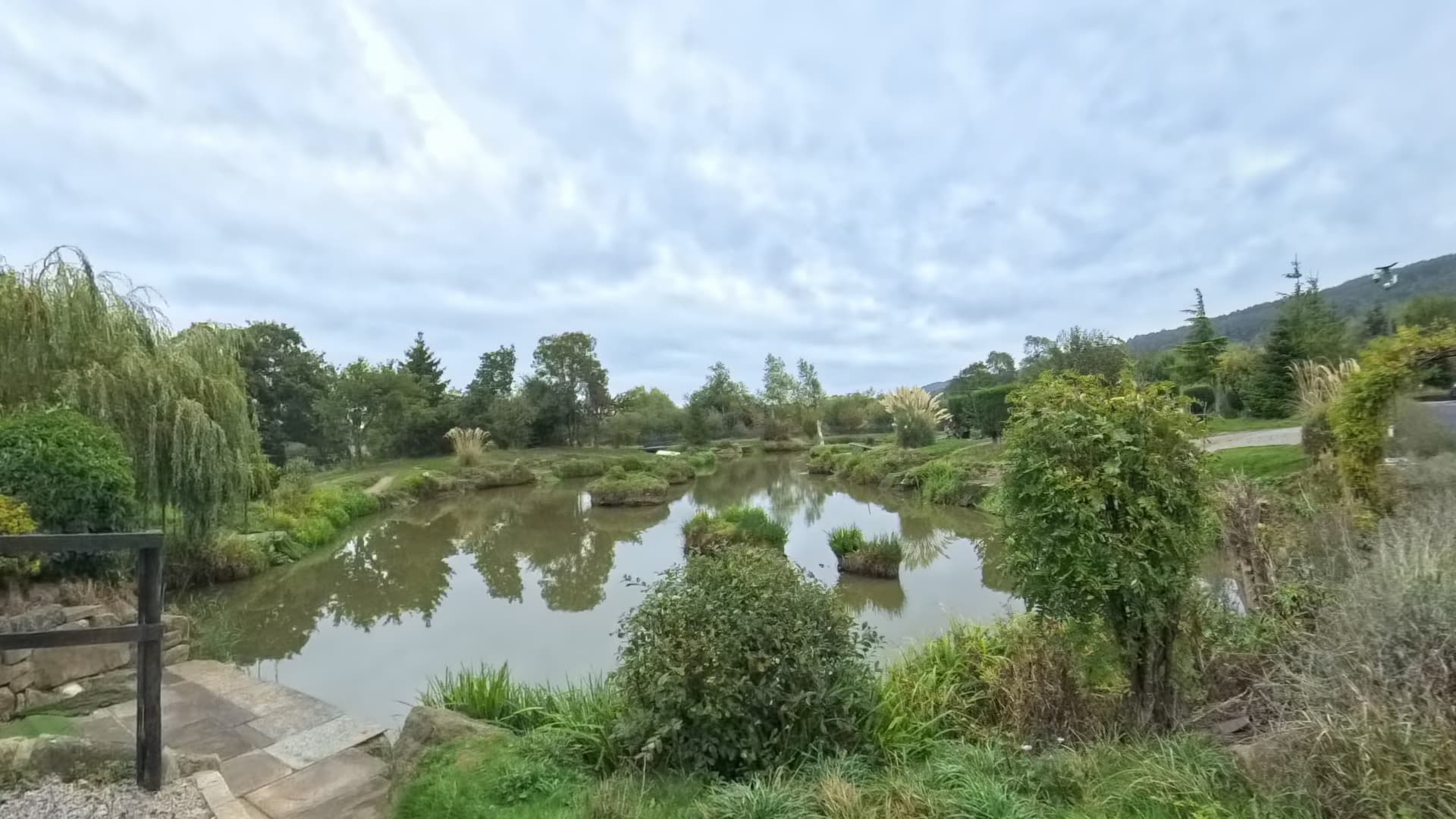 Landscaped bank and access steps beside the pond