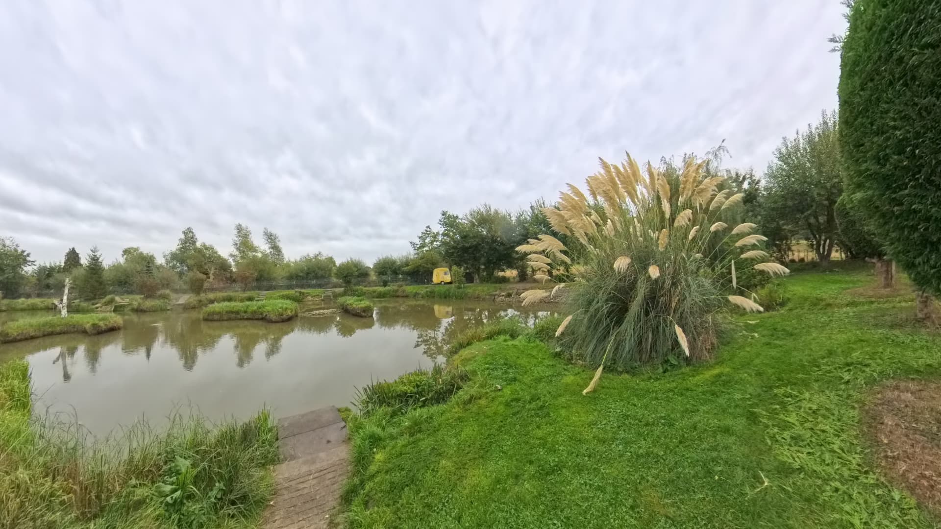 Waterside path framed by ornamental planting