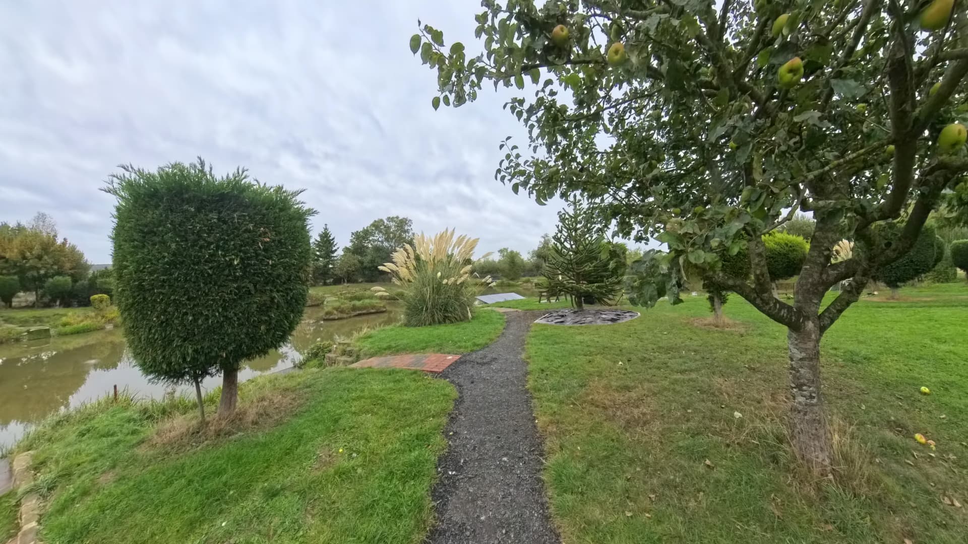 Path leading around Walters Pond