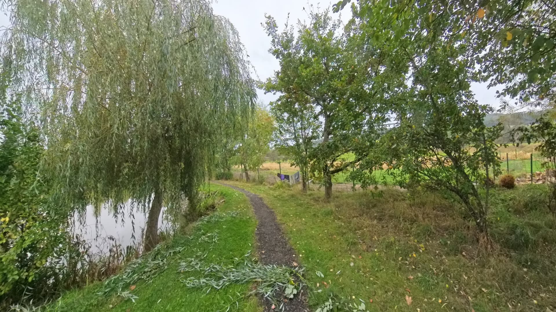 Narrow gravel track beneath trees beside the water