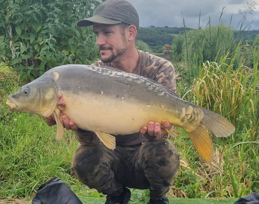 Angler holding a mirror carp on a grassy bank lined with reeds